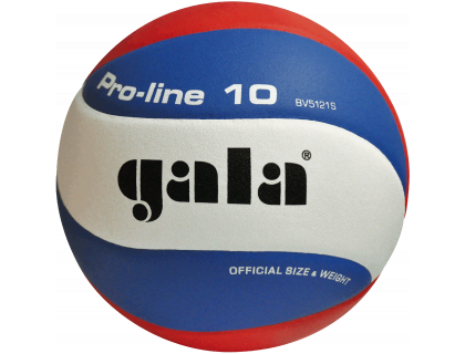 Volejbalová lopta Proline 10