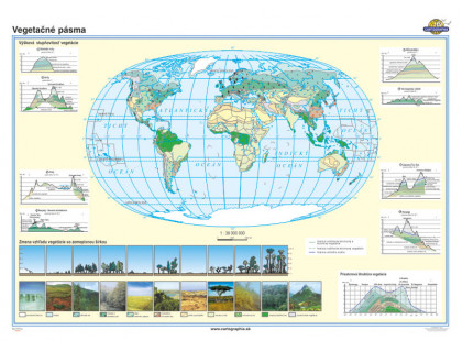 Svet - vegetačné pásma mapa 140x100cm 