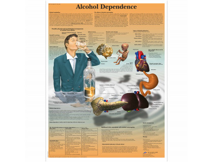 Obraz Alkoholová závislosť 50x67cm