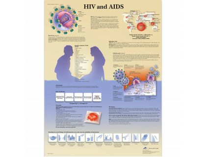 Obraz HIV/AIDS 50x67cm