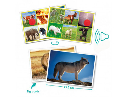 Fotokarty - hlasy zvierat