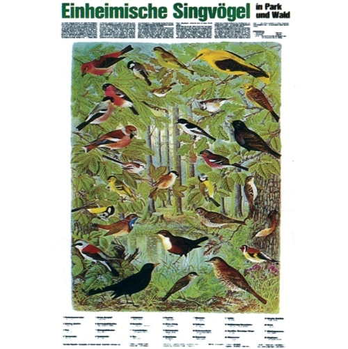 Vt&aacute;ctvo na&scaron;ich lesov, parkov