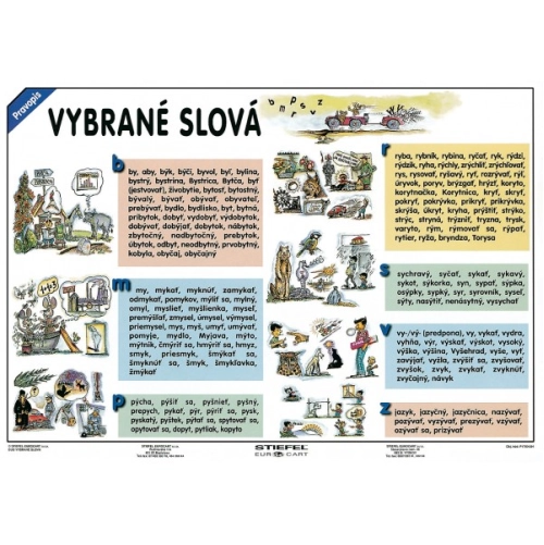 Vybran&eacute; slov&aacute;