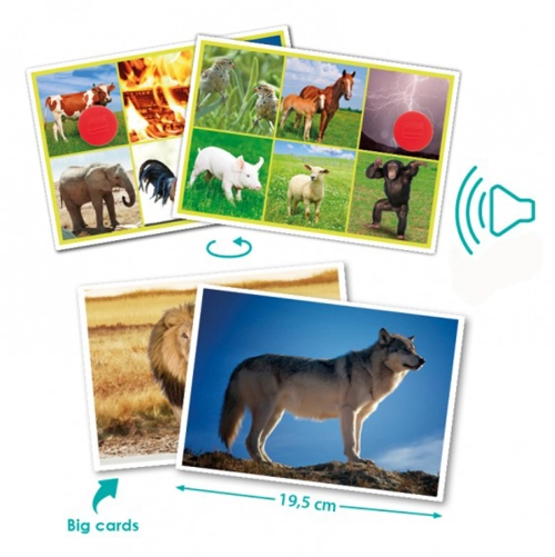 Fotokarty - hlasy zvierat