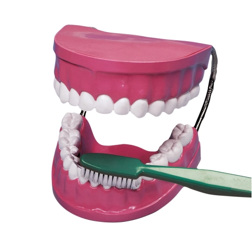 Sada na &uacute;stnu hygienu so zubnou kefkou