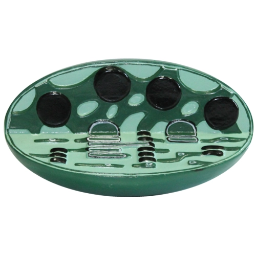 Model - Chloroplast