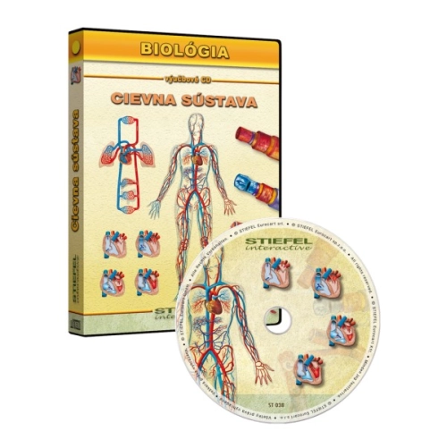 CD - Cievna sústava