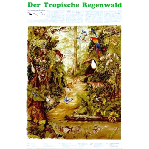 Biocen&oacute;za subtropick&yacute;ch lesov