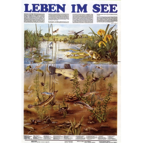 Biocen&oacute;za na&scaron;ich jazier