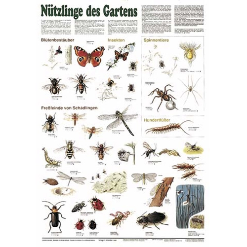 Chr&aacute;nen&eacute; a užitočn&eacute; zvierat&aacute; na&scaron;ich z&aacute;hrad&aacute;ch