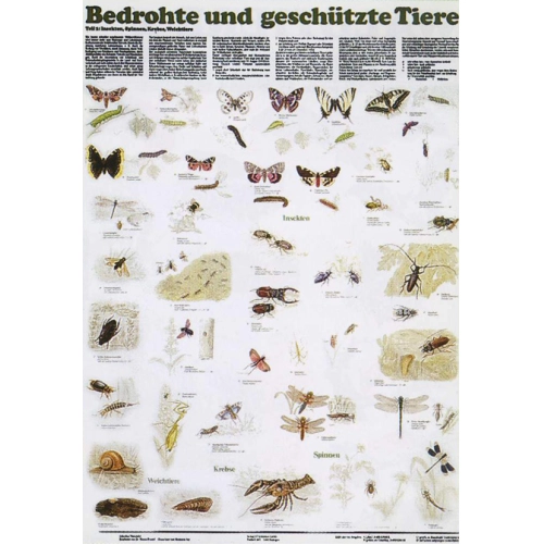 Ohrozen&eacute; a chr&aacute;nen&eacute; zvierat&aacute;