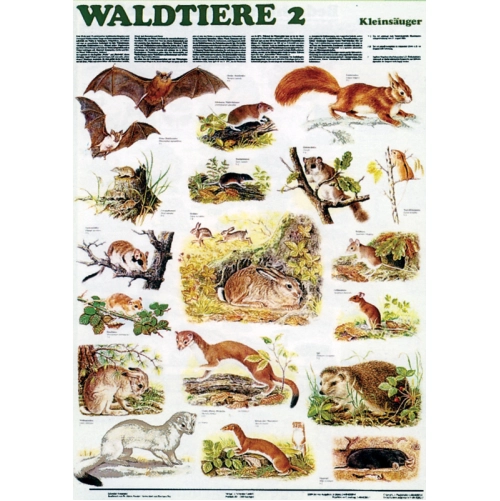 Lesn&eacute; zvierat&aacute; II