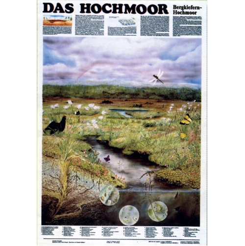 Živoč&iacute;chy močiarov a trasov&iacute;sk