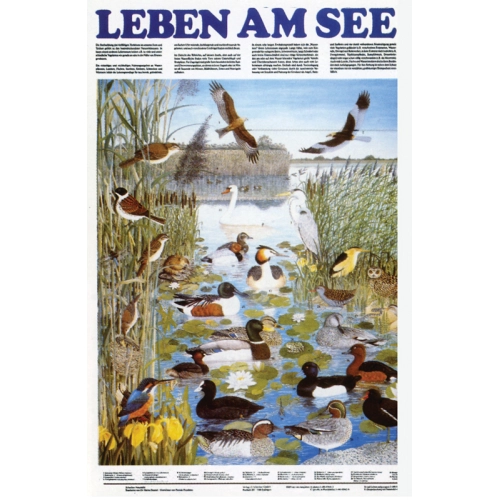 Živoč&iacute;&scaron;stvo na&scaron;ich v&ocirc;d a brehov