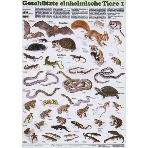 Chr&aacute;nen&eacute; zvierat&aacute;