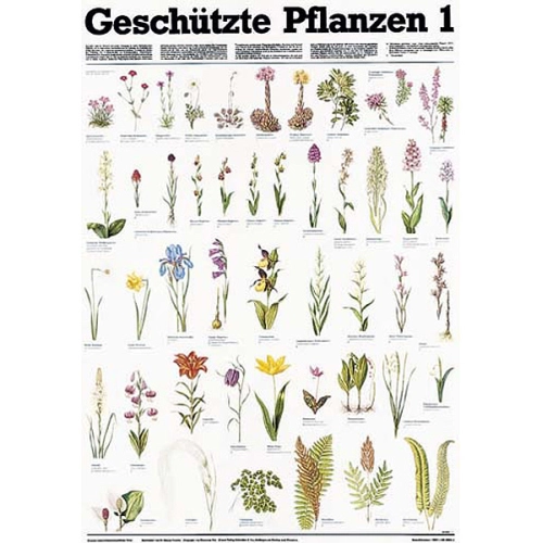 Chr&aacute;nen&eacute; rastliny I.