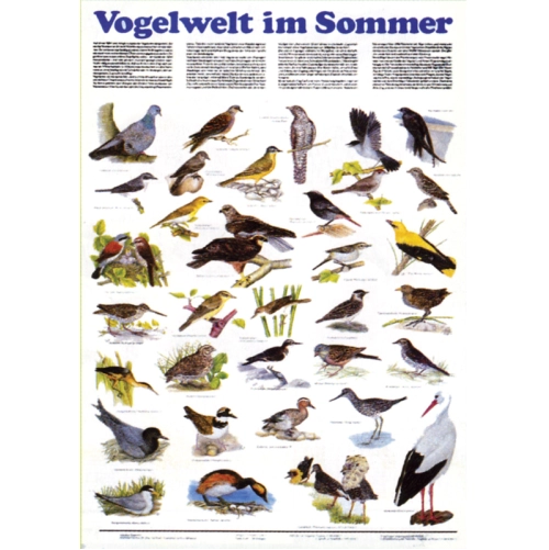 Letn&eacute; vt&aacute;ctvo