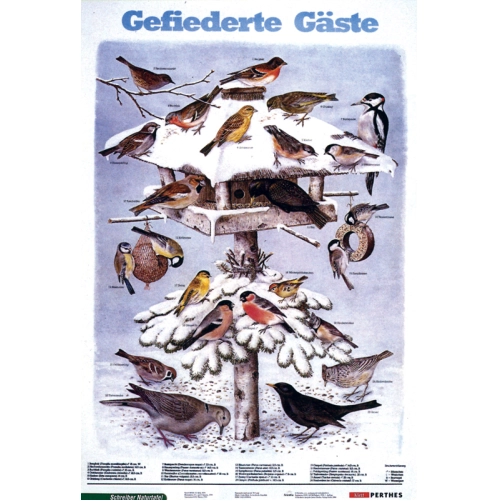 Vt&aacute;ctvo odk&aacute;zan&eacute; na zimn&eacute; kŕmenie